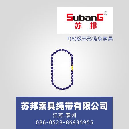 T(8)级环形链条索具