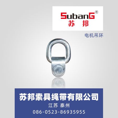 电机吊环